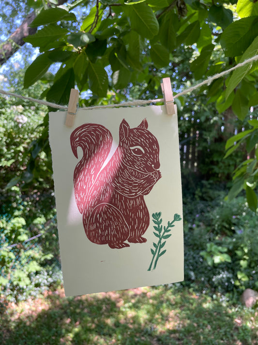 Brown Squirrel Print