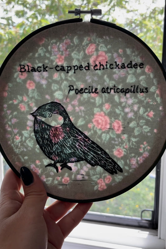 Black-capped Chickadee Decorative Hoop